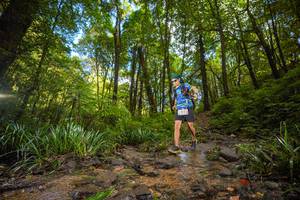 BIB: 
                            <button type="button" onclick="openModal(19230071)" class="btn btn-primary btn-sm float-right btn-popup" data-toggle="modal" data-target=".modal-high-quality">
                        <i class="fas fa-shopping-cart"></i> Add to Cart
                    </button>
                                            <button type="button" onclick="isThisMe(19230071, true)" class="btn btn-success btn-sm float-right btn-popup btn-isme hidden" data-toggle="tooltip" data-placement="bottom" title="นี่คือรูปของคุณใช่ไหม คลิกที่นี่เพื่อเอาเข้าอัลบั้ม">
                        <i class="fas fa-plus"></i> Add to album
                    </button>
                    <button type="button" onclick="isThisMe(19230071, false)" class="btn btn-warning btn-sm float-right btn-popup btn-isnotme hidden">
                        <i class="fas fa-ban"></i> Remove from album
                    </button>